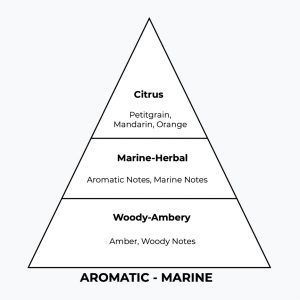No 206 - Aqvamen - London Perfume Factory - Pyramid