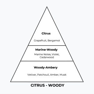 No 211 - Lightever - London Perfume Factory - Pyramid